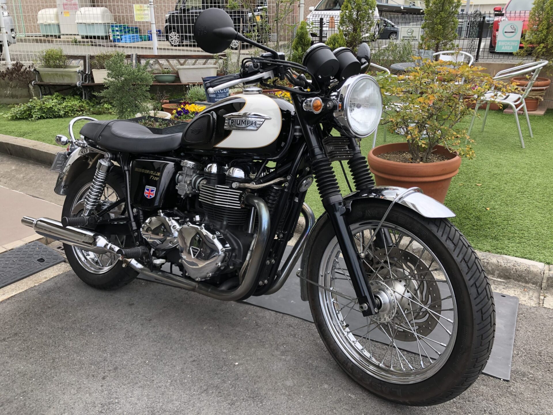 TRIUMPH ボンネビル アイブローエンブレム 空冷 小高い